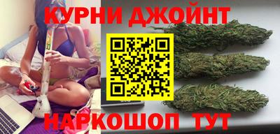 СК Пенза