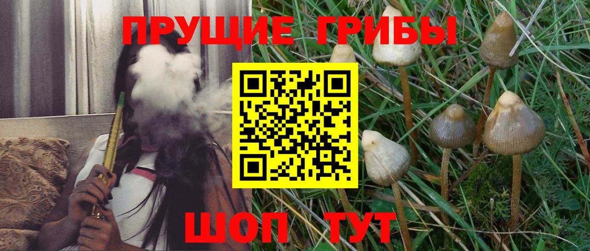 продажа наркотиков  Галлюциногенные грибы ЛСД  Вход с VPN  Строитель  Псилоцибиновые грибы Psilocybine cubensis 